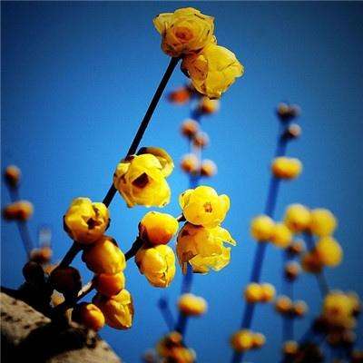 亚博足球外围软件app下载