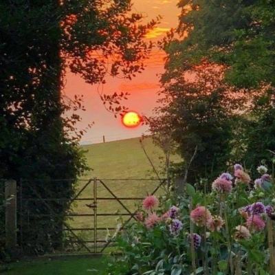 麻将胡了2游戏入口