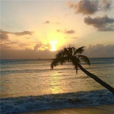 江南综合体育app下载安装截图